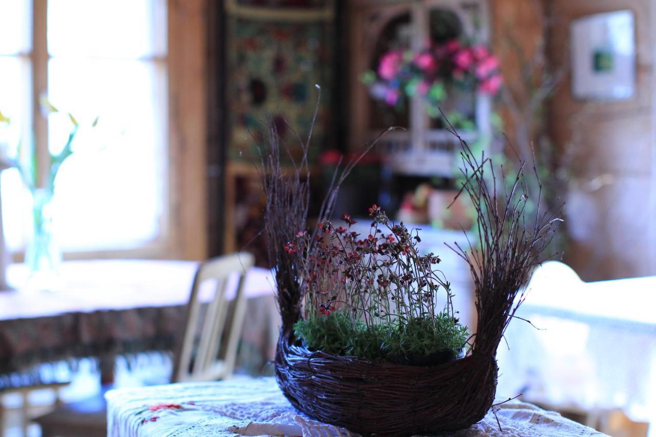 Lesniczowka U Zieby Bed and Breakfast Kościelisko Eksteriør billede