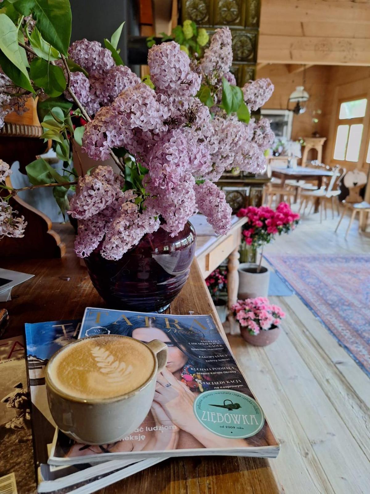 Lesniczowka U Zieby Bed and Breakfast Kościelisko Eksteriør billede